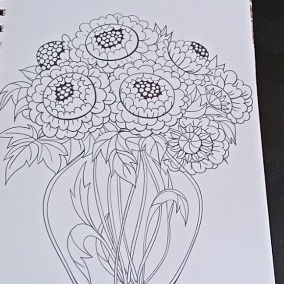 Devotional Coloring Book with Spiral Bound Text And Pictures 312 Pages - Picture 4 of 8